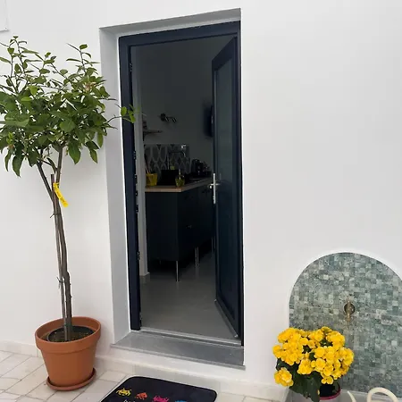 Blue Bergamote - Pop Culture Ermoupoli